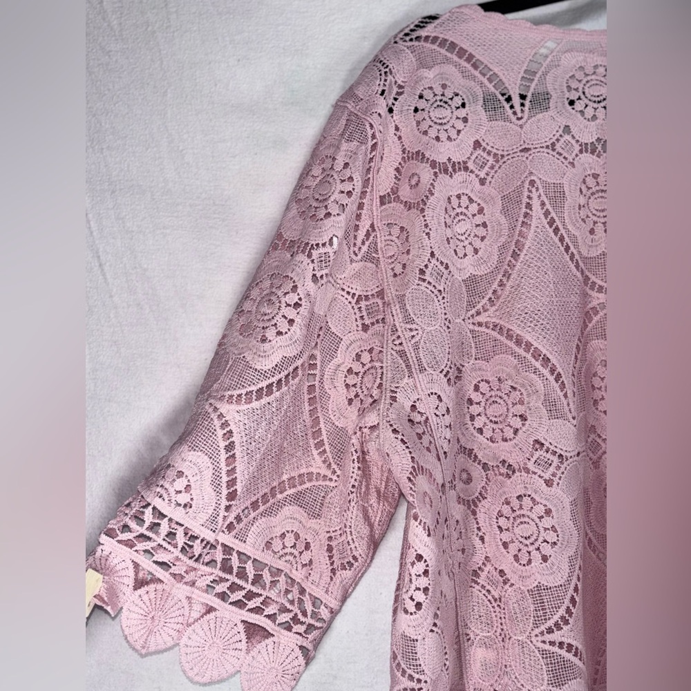 Rabbit Rabbit Rabbit Delicate Pink Lace Blouse - Picture 11 of 15